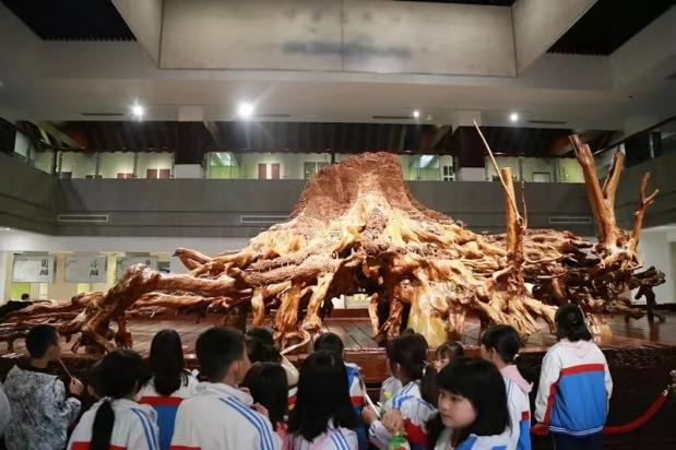 非遺工匠之桃源木雕